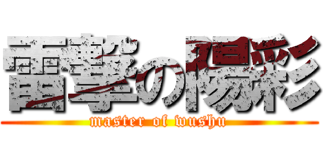 雷撃の陽彩 (master of wushu)