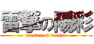 雷撃の陽彩 (master of wushu)
