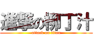 進撃の柳丁汁 (attack on titan)