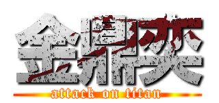 金鼎奕 (attack on titan)