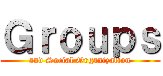 Ｇｒｏｕｐｓ (and Social Organization)