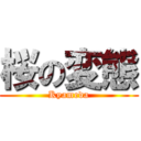 桜の変態 (Kyameda)