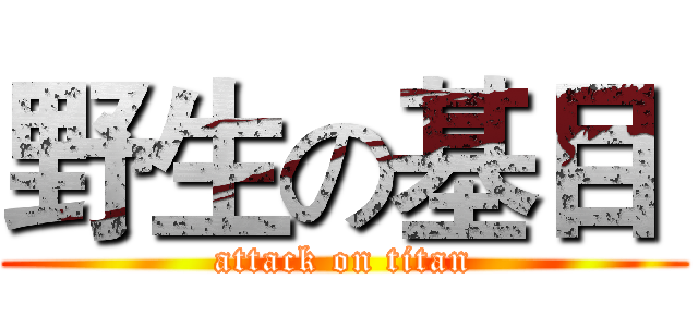 野生の基目  (attack on titan)