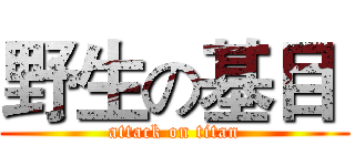 野生の基目  (attack on titan)
