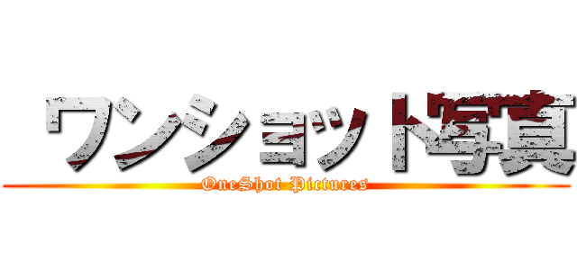  ワンショット写真 (OneShot Pictures)
