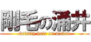 剛毛の涌井 (bristly hair on wakui)