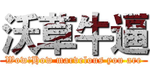 沃草牛逼 (Wow!How marvelous you are)