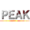 ＰＥＡＫ (13)