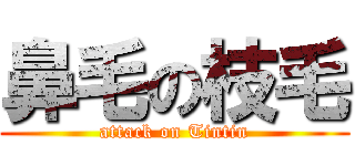 鼻毛の枝毛 (attack on Tintin)