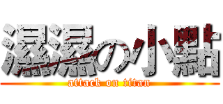 濕濕の小點 (attack on titan)