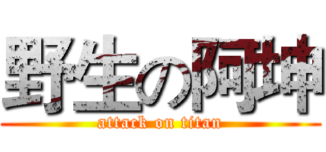 野生の阿坤 (attack on titan)