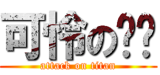 可怜の娅咪 (attack on titan)