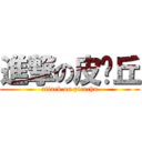 進撃の皮卡丘 (attack on picachu)