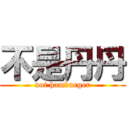 不是丹丹 (not hamburger)