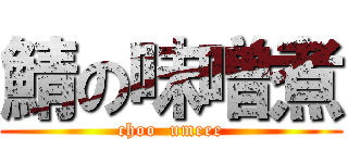 鯖の味噌煮 (choo  umeee)