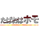 たぱおはホモ (attack on titan)