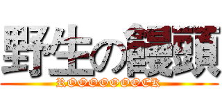 野生の饅頭 (ROOOOOOOCK)