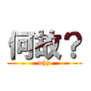 何故？ (why)