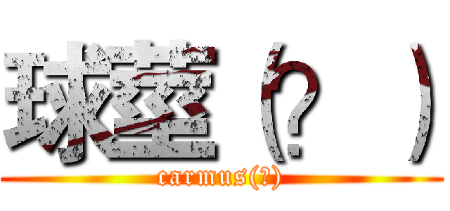 球莖（？） (carmus(?))