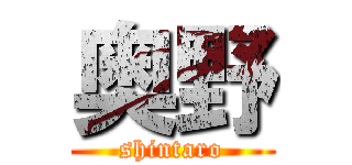 奥野 (shintaro)