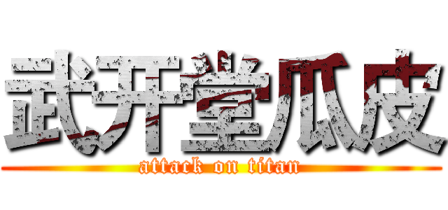 武开堂瓜皮 (attack on titan)