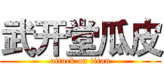 武开堂瓜皮 (attack on titan)