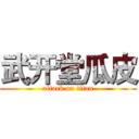 武开堂瓜皮 (attack on titan)