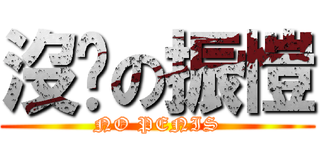 沒雞の振愷 (NO PENIS)