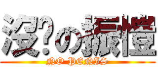 沒雞の振愷 (NO PENIS)