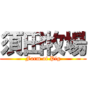 須田牧場 (Farm of Pig)