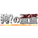 狗聪の蛋蛋 (attack on titan)