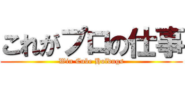 これがプロの仕事 (Win Cube Holdngs)