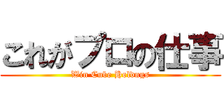 これがプロの仕事 (Win Cube Holdngs)