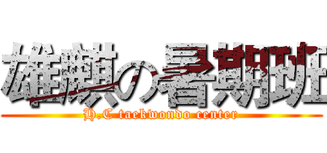雄麒の暑期班 (H.C taekwondo center)