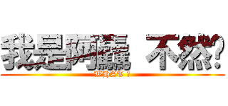 我是阿驫 不然咧 (WHAT ?)