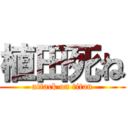 植田死ね (attack on titan)
