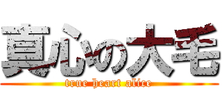 真心の大毛 (true heart alice)