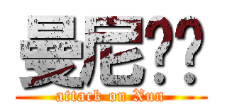 曼尼掰掰 (attack on Xun)