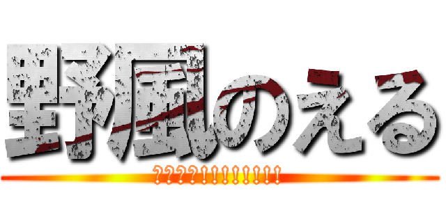 野風のえる (ｱﾀｯｸ!!!!!!!!)