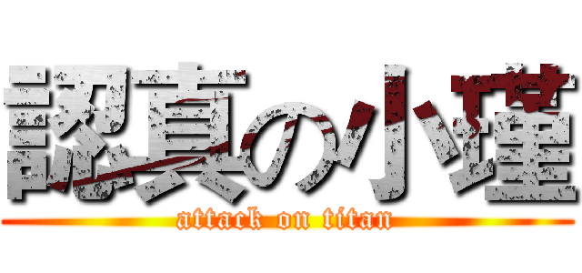 認真の小瑾 (attack on titan)