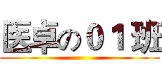 医卓の０１ 班 ()