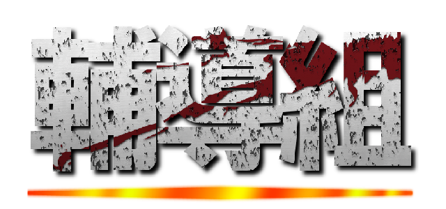 輔導組 ()