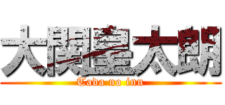 大関皇太朗 (Tada no inn)