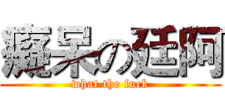 癡呆の廷阿 (what the fuck)