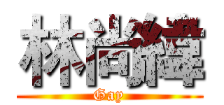 林尚緯 (Gay)