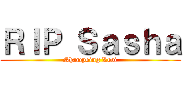 ＲＩＰ Ｓａｓｈａ (Shampoing Levi)