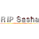 ＲＩＰ Ｓａｓｈａ (Shampoing Levi)