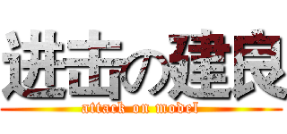 进击の建良 (attack on model)