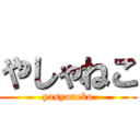 やしゃねこ (yasyaneko)