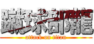 蹴球部龍 (attack on titan)